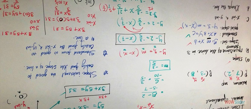 FSI Math Lecture (11)