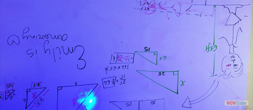 FSI Math Lecture (4)